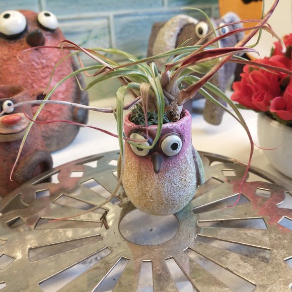 BLOG HOUSE HUMMINGBIRD PLANTER - Picture 2 of 3